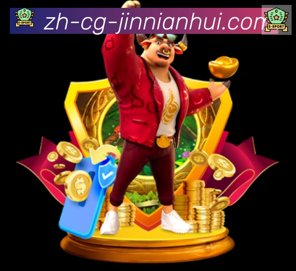 奖项证书
